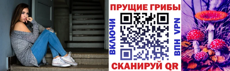 Галлюциногенные грибы Psilocybe  где купить наркоту  Усть-Джегута 
